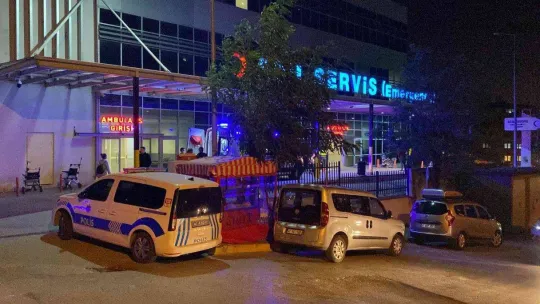 Yaşlı adam zihinsel engelli oğlu tarafından bıçaklanarak öldürüldü