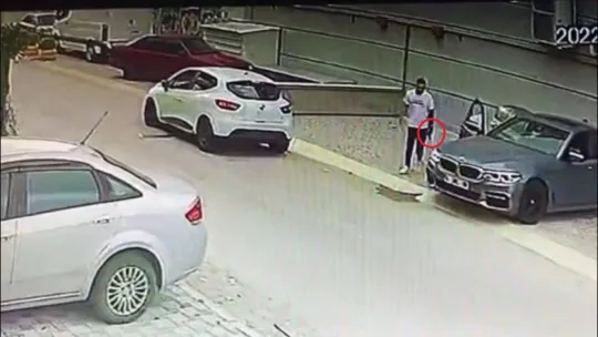 Yazılımcı kardeşleri silah zoruyla kaçırdılar, yunuslardan kaçamadılar