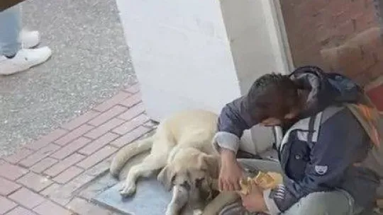 Yemeğini sokak köpeği ile paylaştı, sosyal medyada viral oldu