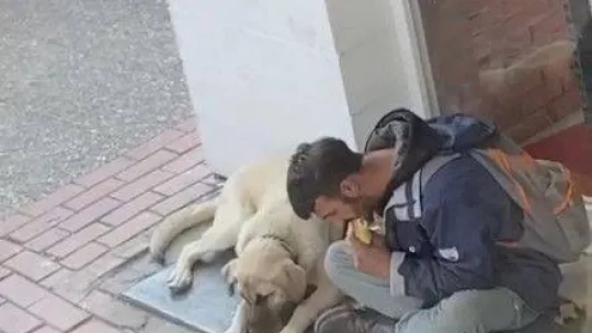 Yemeğini sokak köpeği ile paylaştı, sosyal medyada viral oldu