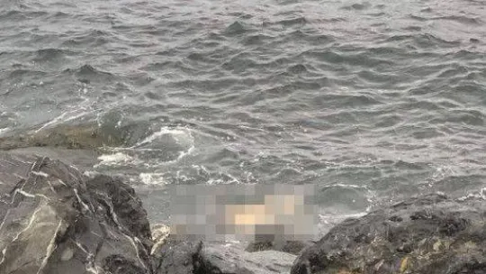 Yenikapı'da denizden ceset çıkarıldı