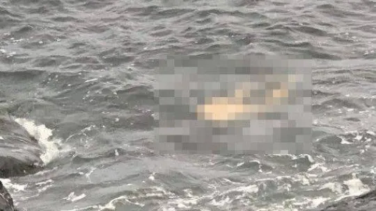 Yenikapı'da denizden ceset çıkarıldı