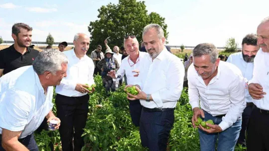 Yenişehir Biberi'ne de tescil belgesi