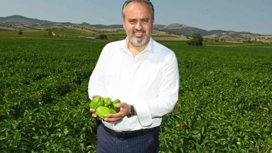 Yenişehir Biberi'ne de tescil belgesi