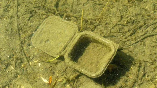 Yenişehir'de çevreyi kirletenlere tepki