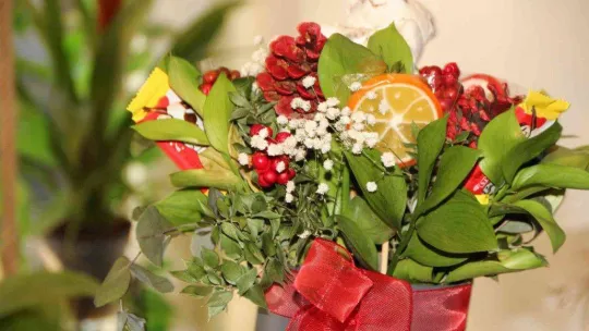 Yılbaşı çiçeği olarak da bilinen 'kokina'ya büyük ilgi