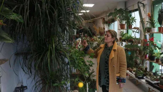 Yılbaşı öncesi çiçekçiler doldu taştı