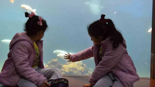 Yıldırım'da tünel akvaryumu 10 günde 40 bin kişi ziyaret etti