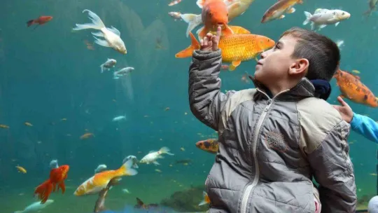 Yıldırım'da tünel akvaryumu 10 günde 40 bin kişi ziyaret etti