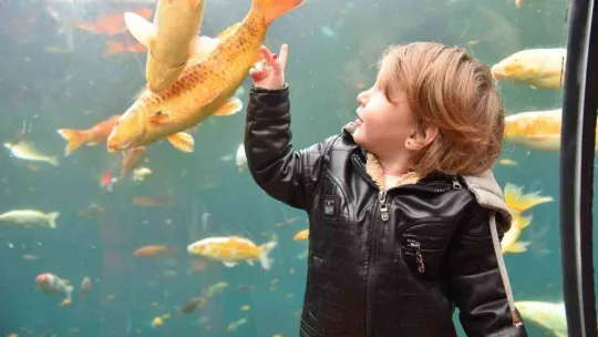 Yıldırım'da tünel akvaryumu 10 günde 40 bin kişi ziyaret etti