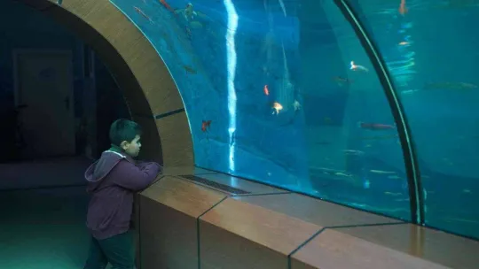 Yıldırım'daki tünel akvaryuma 2022'de 250 bin kişi ziyaret etti