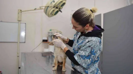 Yıldırım'ın sessiz sakinlerine 7-24 hizmet