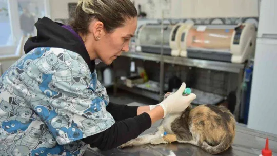 Yıldırım'ın sessiz sakinlerine 7-24 hizmet