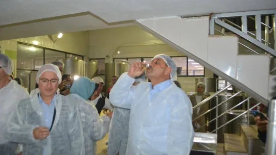 Yılın ilk erken hasat zeytinyağı üretildi