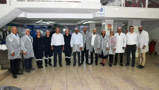 Yılın ilk erken hasat zeytinyağı üretildi