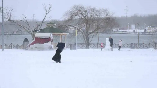 Yılın ilk kar yağışı