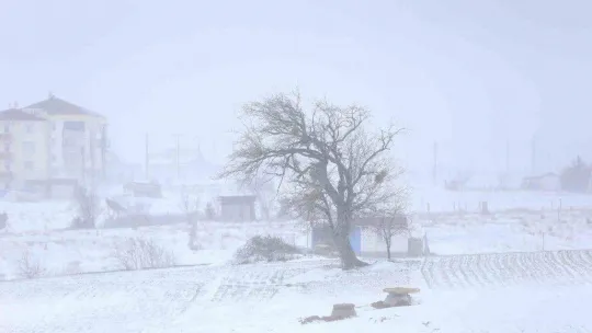 Yılın ilk kar yağışı