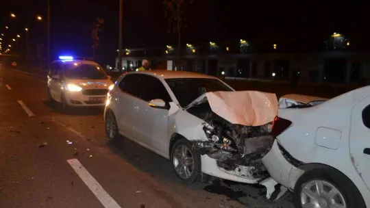 Yola fırlayan köpek kazaya neden oldu, araç sahibi dert yandı
