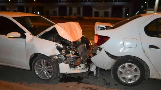 Yola fırlayan köpek kazaya neden oldu, araç sahibi dert yandı