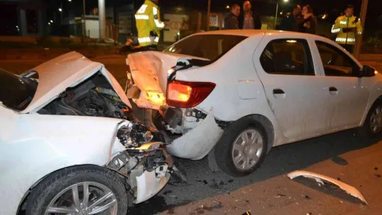 Yola fırlayan köpek kazaya neden oldu, araç sahibi dert yandı