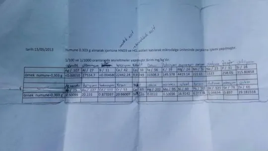 Yürürken bulduğu 11 kiloluk taşın uzaydan geldiğini düşünüyor