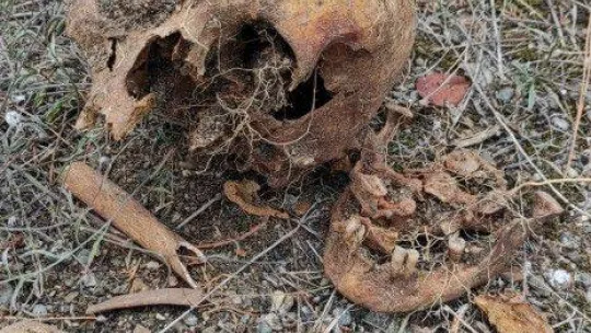 Yüzlerce mezar açılıp, kemikler tek tek taşındı