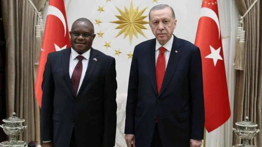 Zambiya Büyükelçisi William Maipambe Sikazwe, Cumhurbaşkanı Erdoğan'a güven mektubu sundu