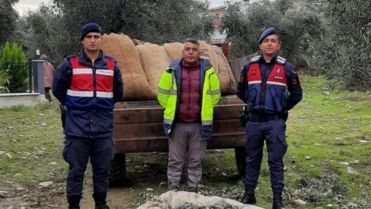 Zeytin hırsızları yakalandı, 18 kişi tutuklandı