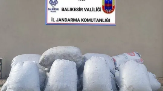 Zeytin hırsızları yakalandı, 18 kişi tutuklandı