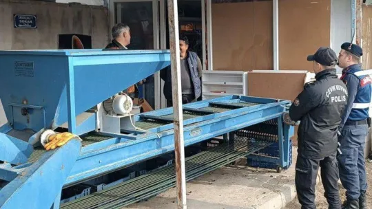 Zeytin hırsızlıklarına karşı önlemler devam ediyor