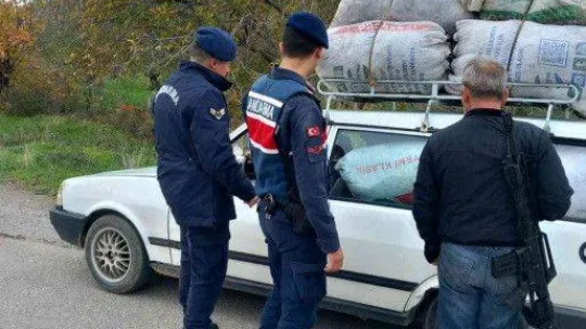 Zeytin hırsızlıklarına karşı önlemler devam ediyor