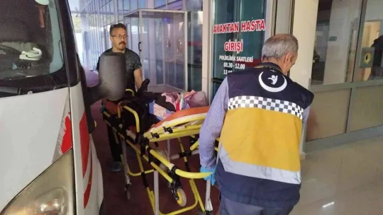 Zeytin işçilerini taşıyan minibüse tır çarptı 2'si ağır 8 yaralı