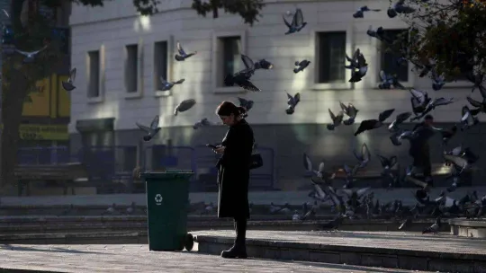 Zeytin toplayan köylü kadınlar tarlada böyle saygı duruşuna durdu