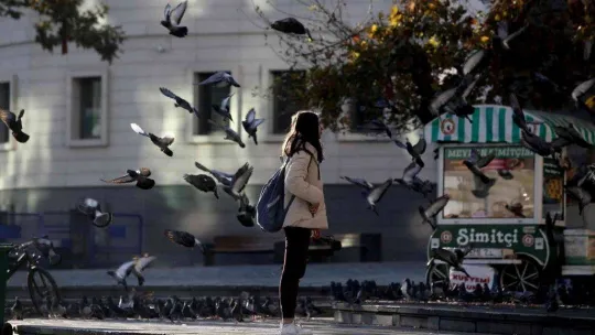 Zeytin toplayan köylü kadınlar tarlada böyle saygı duruşuna durdu