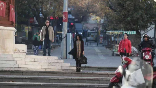 Zeytin toplayan köylü kadınlar tarlada böyle saygı duruşuna durdu