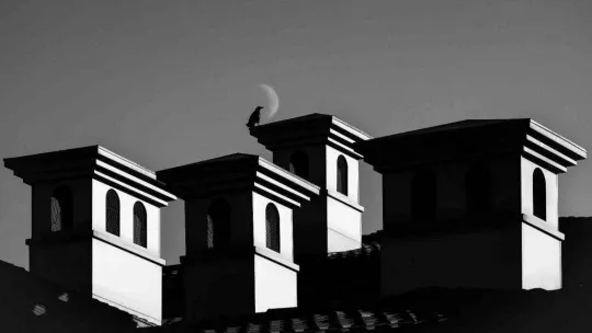 Zeytinburnu 12. Fotoğraf Yarışması ödül töreni yapıldı