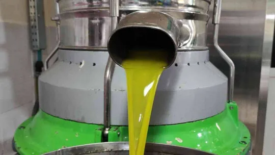 Zeytinyağına büyük talep...Üretimin yarısı ihracata gidiyor