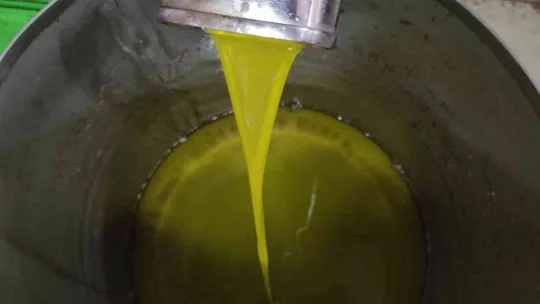 Zeytinyağına büyük talep...Üretimin yarısı ihracata gidiyor