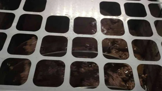 Zeytinyağına büyük talep...Üretimin yarısı ihracata gidiyor