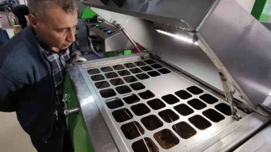 Zeytinyağına büyük talep...Üretimin yarısı ihracata gidiyor