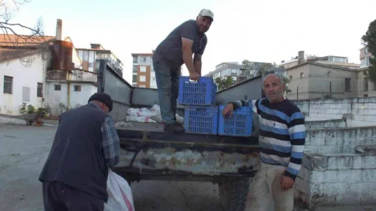 Zeytinyağını renkli cam şişelerde saklayın