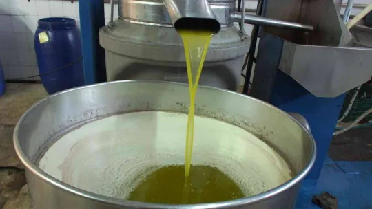 Zeytinyağını renkli cam şişelerde saklayın