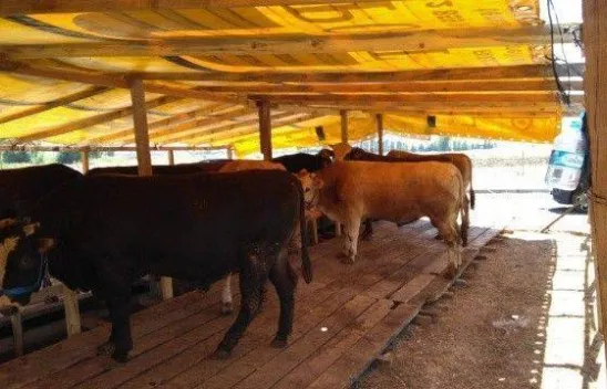 Belediyeden Kurban Bayramı Hazırlığı