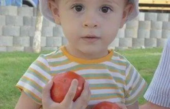 En İyi Domates Seçildi