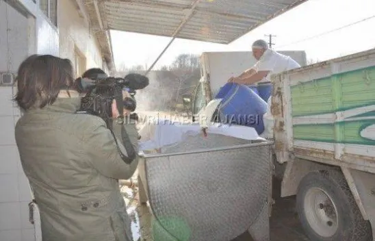 Japonlar Silivri Yoğurduna Hayran Kaldı