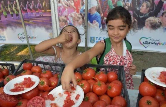 Domates Festivali'nde Köy Pazarı Müjdesi