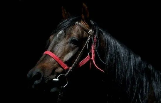 Efsane babaların efsane oğulları