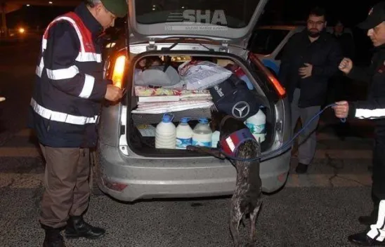 Jandarma-Polis kuş uçurtmadı