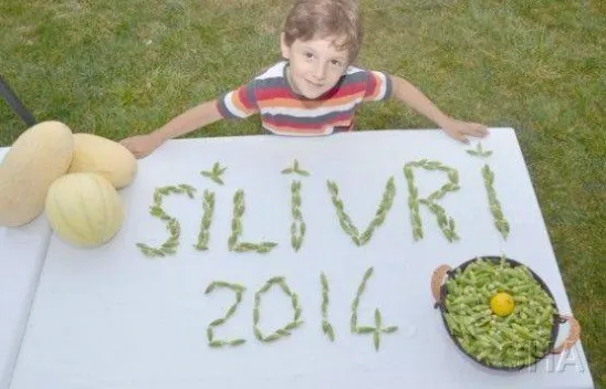 Selimpaşa'da Festival Coşkusu