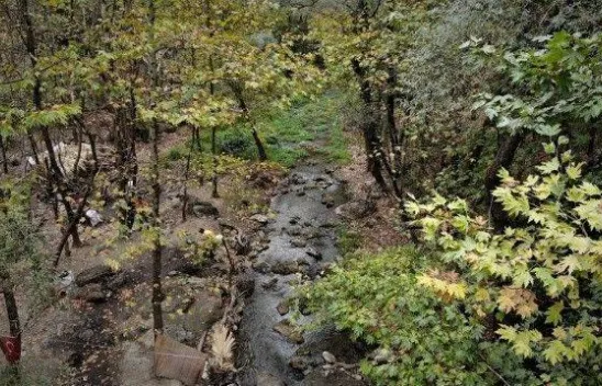 Uludağ'ın eteklerinde altın arıyorlar